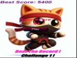 Kedi Zıplayıcı 1