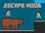 Kaçış Noob