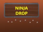 Ninja Düşüşü