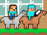Acemi vs Profesyonel HorseCraft